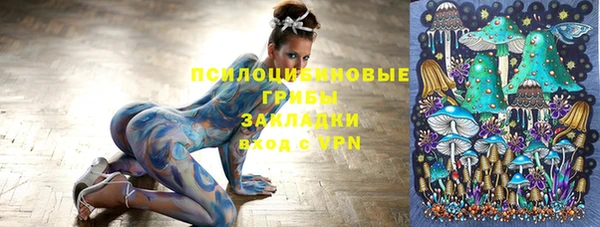 ALPHA PVP Михайловск