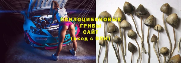 ALPHA PVP Михайловск